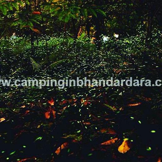 Hotel Samadhan Бгандардара Екстер'єр фото